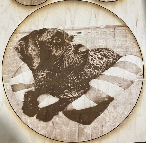 Custom Pet Portrait